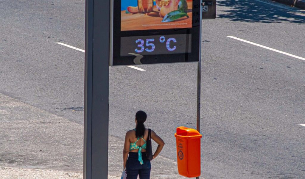 dsc6101 scaled e1732808586692.jpg