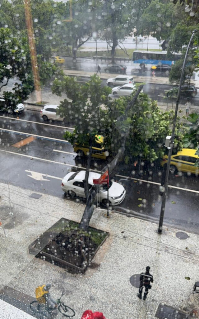 1 whatsapp image 2026 01 23 at 15 06 48 37958871.jpeg