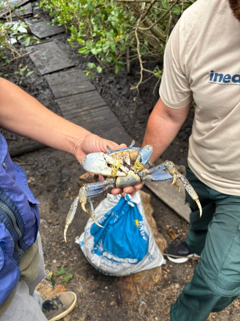 whatsapp image 2026 01 07 at 17.55.54 1.jpeg