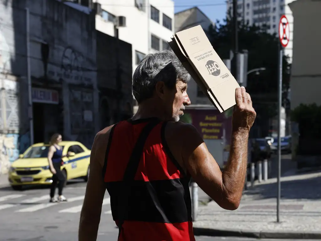 d6a4617 01.webp.webp