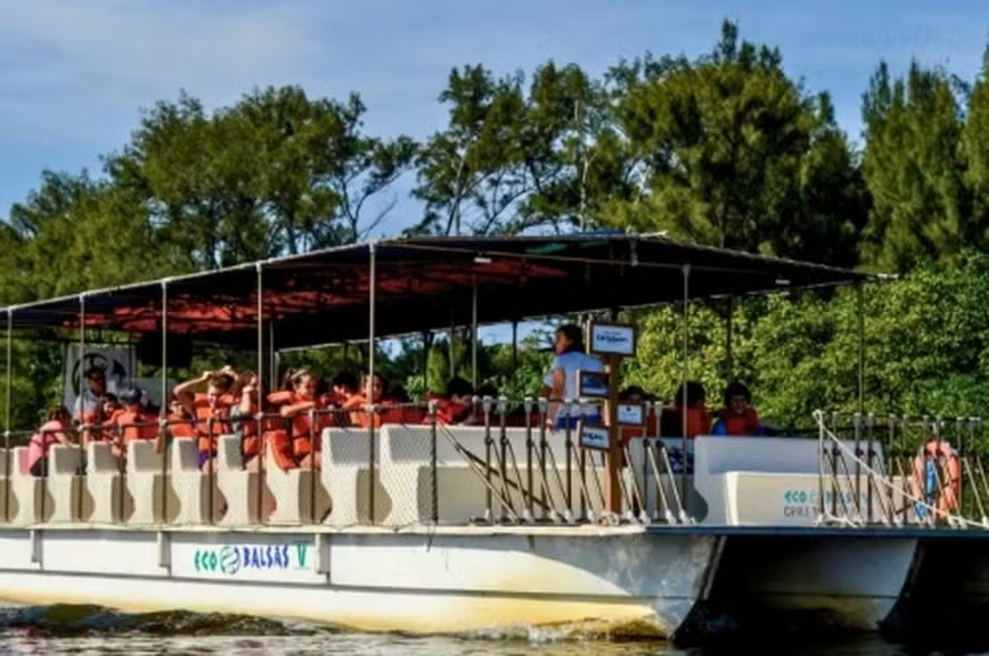 image 13 e1767412674230.png